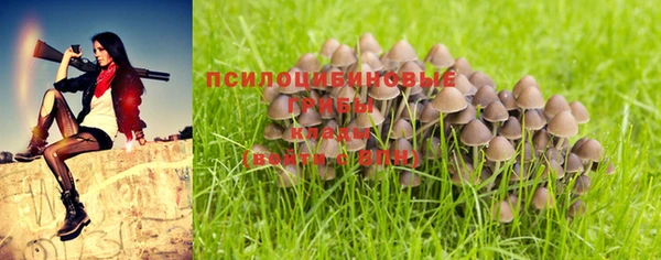 кокс Абаза