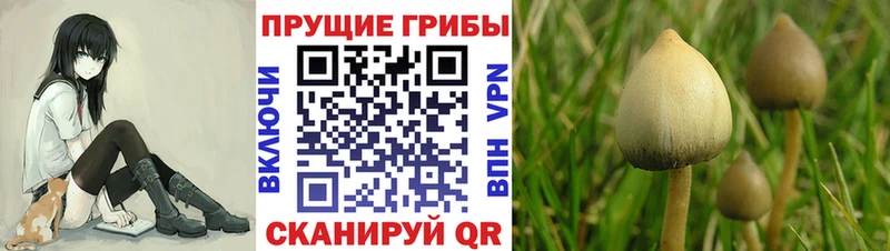 Псилоцибиновые грибы мухоморы  Чита 